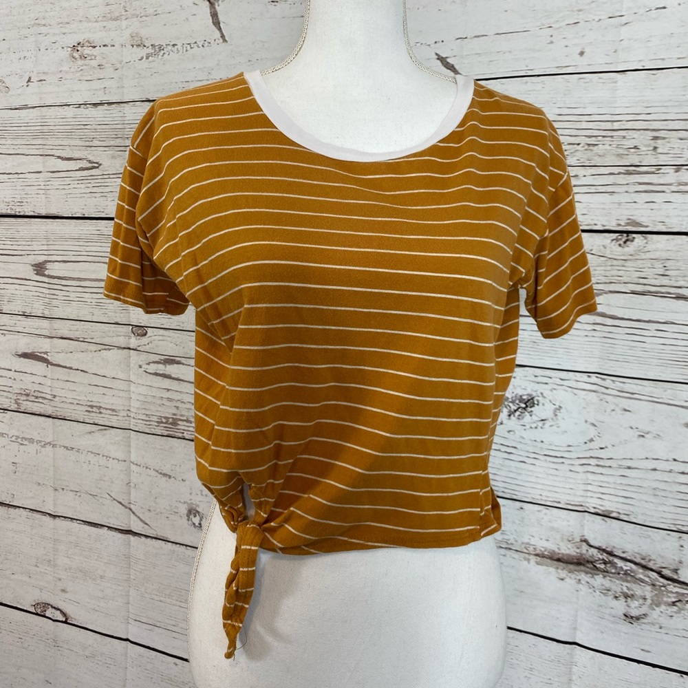 Charolette Russe Striped, Tied Crop Top